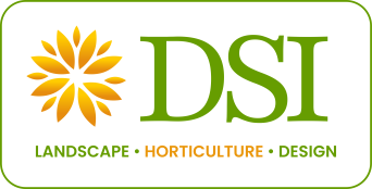 DSI Corporate Home Management