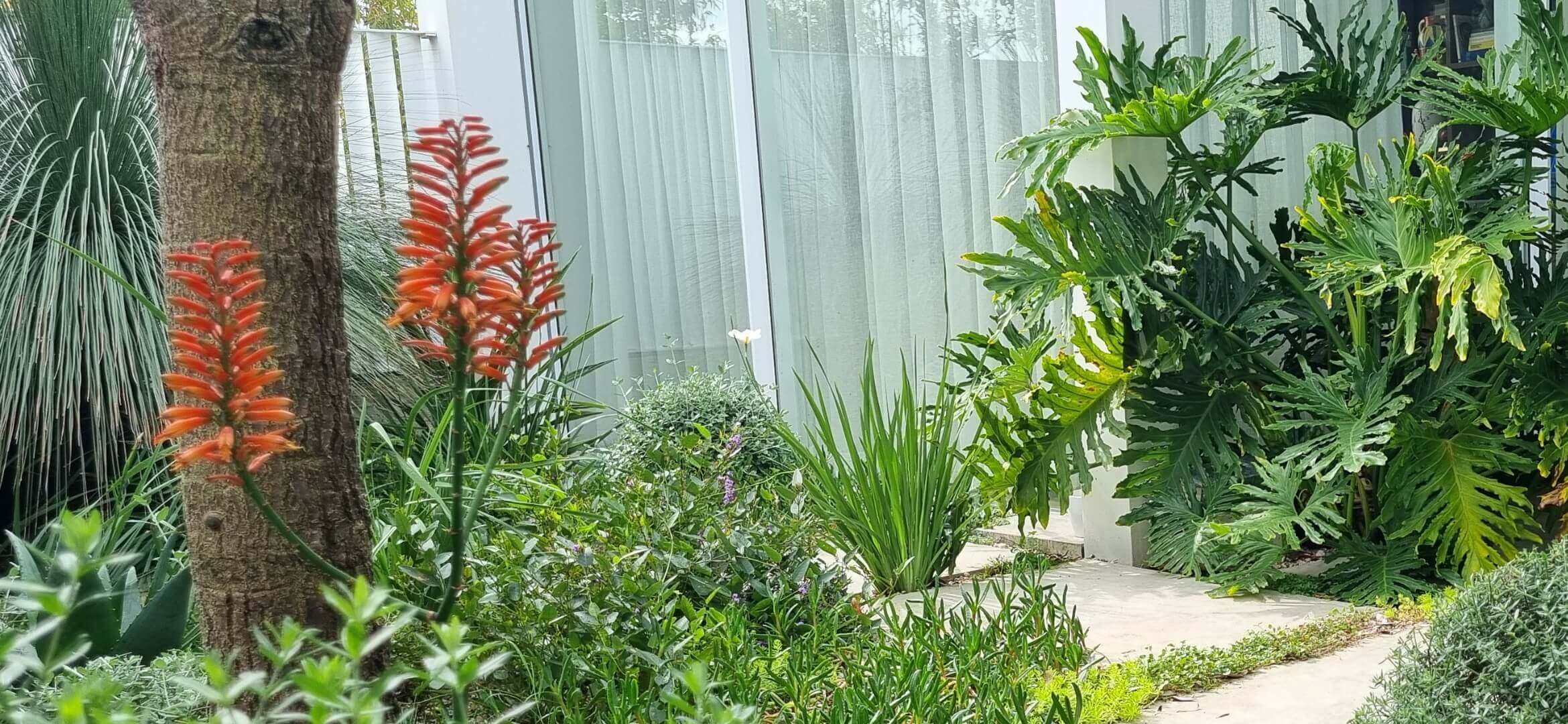 DSI Corporate Home Management